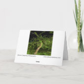 Carte Arbre Apple : Numériquement Arbre Twisted Modifié (Dos)