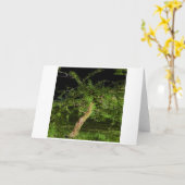 Carte Arbre Apple : Numériquement Arbre Twisted Modifié (Fleur jaune)