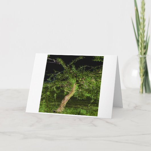 Carte Arbre Apple : Numériquement Arbre Twisted Modifié (Devant)