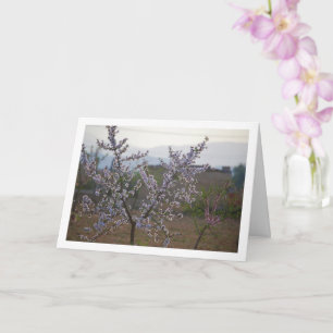 Carte Arbre aux amandes avec fleurs