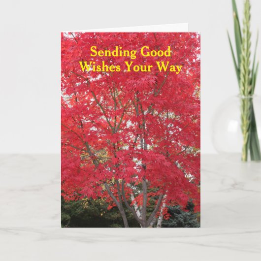 Carte Arbre aux Feuilles de Rouge Automne Pensées pour V (Devant)