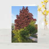 Carte Arbre Avec Deux Couleurs Différentes Nature (Fleur jaune)