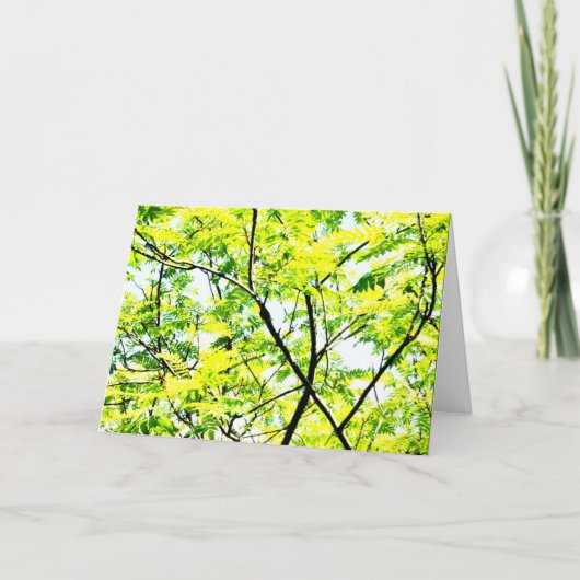 Carte Arbre Canopée Pop Art (Devant)
