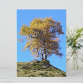 Carte Arbre d'automne (Debout devant)