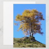 Carte Arbre d'automne (Devant / Derrière)