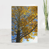 Carte Arbre d'automne jaune (Devant)