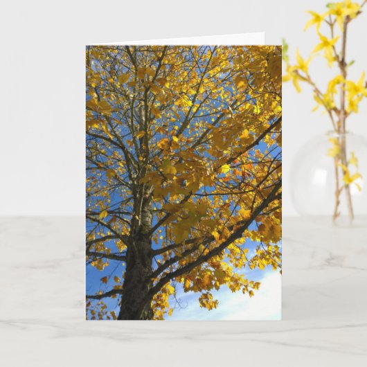 Carte Arbre d'automne jaune (Fleur jaune)