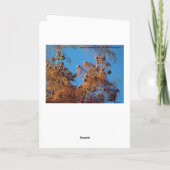 Carte Arbre de Brian, poème d'automne (Dos)