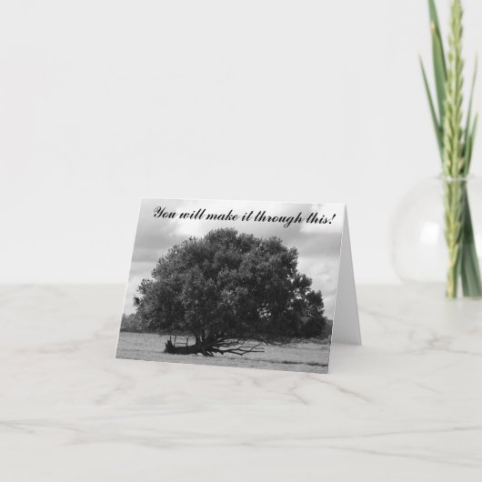 Carte Arbre de la vie (Devant)
