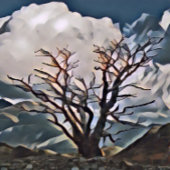 CARTE ARBRE DE MONTAGNE