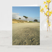 Carte Arbre de plage (Fleur jaune)