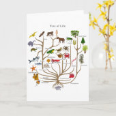 Carte Arbre De Vie (Fleur jaune)