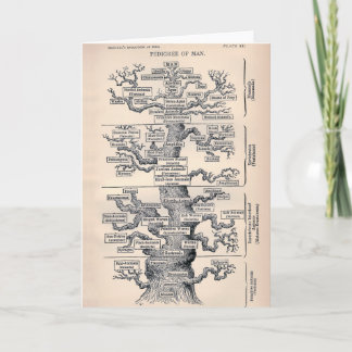Carte Arbre De Vie / Pégdigree De L'Homme