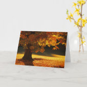 Carte Arbre d'érable, Bennington, Vermont (Fleur jaune)