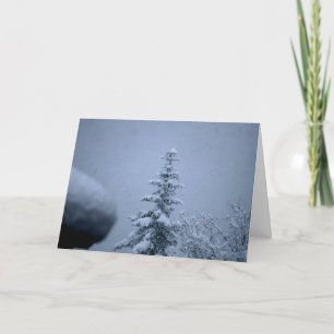 Carte Arbre d'hiver