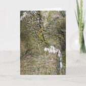 Carte Arbre écorce avec mousse de fond (Devant)