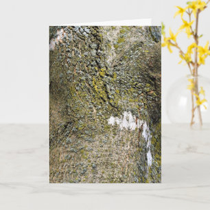 Carte Arbre écorce avec mousse de fond