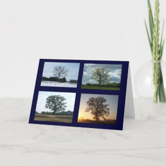 Carte Arbre en 4 saisons