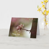 Carte Arbre en floraison (Fleur jaune)