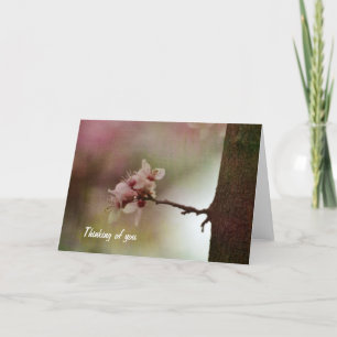 Carte Arbre en floraison