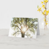 Carte Arbre ensoleillé (Fleur jaune)