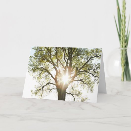 Carte Arbre ensoleillé (Devant)