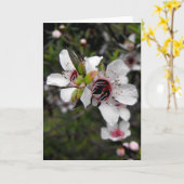 Carte Arbre fleurissant de Manuka (Fleur jaune)