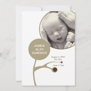 Carte Arbre généalogique