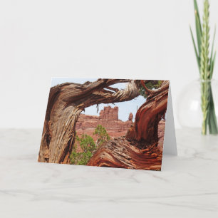 Carte Arbre gris Toutes les occasions Southwest Photo Sa