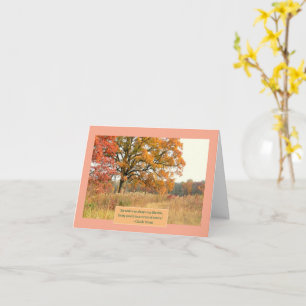 CARTE "ARBRE MAJESTIQUE LE LONG DU CHEMIN DE BOIS EN CHU