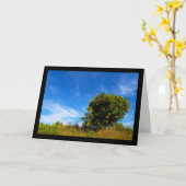 Carte Arbre Mandarin Solitaire (Fleur jaune)