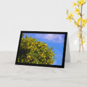 Carte Arbre mandarin sous ciel bleu (Fleur jaune)