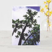 Carte Arbre Mango (Fleur jaune)