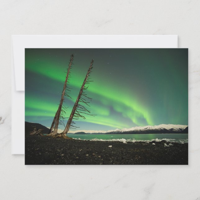 Carte Arbre penché Aurora (Devant)