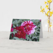 Carte Arbre Peony "Shimi Nishiki" (Fleur jaune)