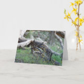 Carte Arbre tombé (Fleur jaune)