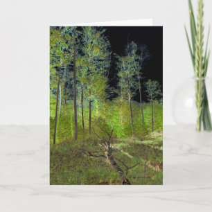 Carte Arbre tombé : Adirondack Forest Scene Altered Phot