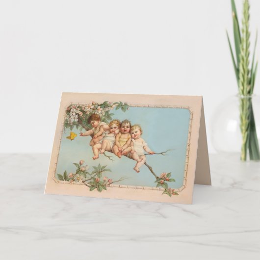 Carte Arbre Top Babies (Devant)