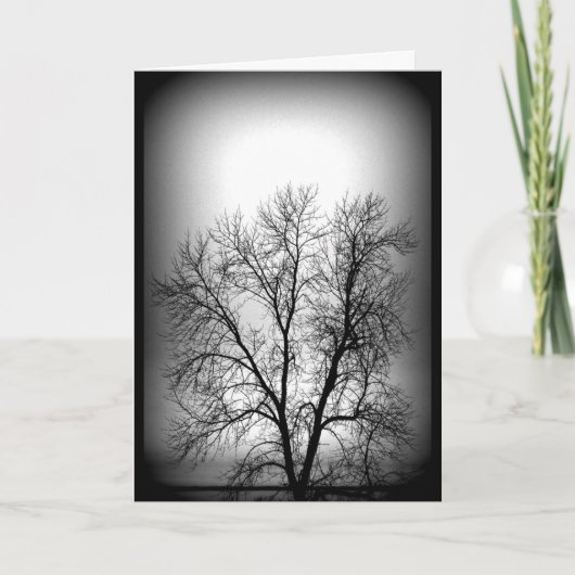 Carte Arbre Tournant Noir Et Blanc Toute Occasion (Devant)
