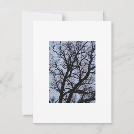 Carte Arbre vampire (Devant)