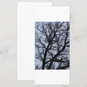 Carte Arbre vampire (Devant / Derrière)