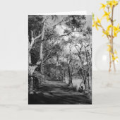 CARTE ARBRES (Fleur jaune)