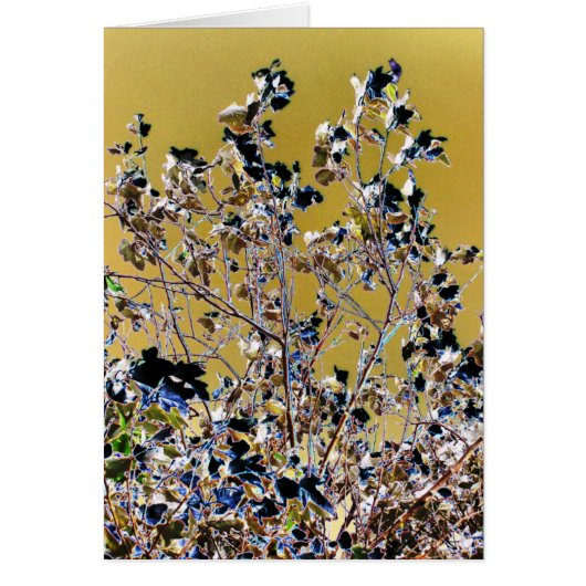 Carte ARBRES (Devant)