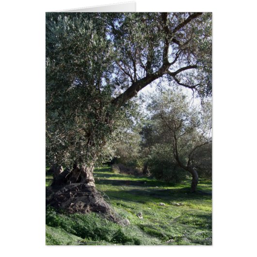Carte Arbres (Devant)
