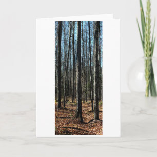Carte Arbres à la fin de l'automne : Numériquement Forêt