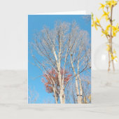 Carte Arbres arren (Fleur jaune)