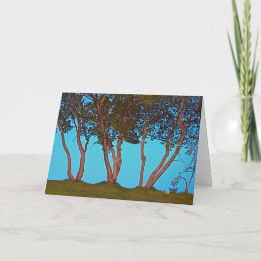 Carte Arbres bleus (Devant)