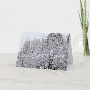 Carte Arbres couverts de neige