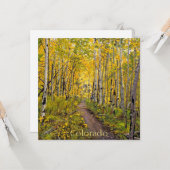 Carte Arbres D'Aspen En Automne (Devant/Arrière en situation)