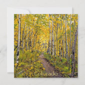 Carte Arbres D'Aspen En Automne (Devant)